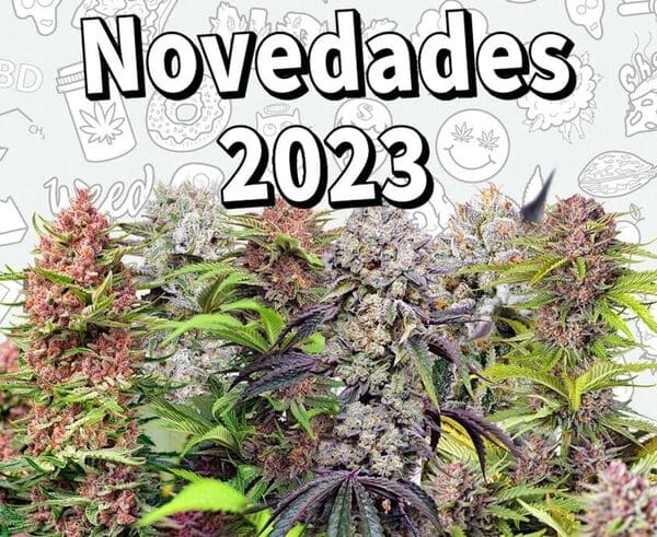 Top 10 nuevas semillas de marihuana para el año 2023
