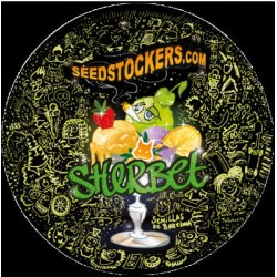 Sherbet auto Seed Stokers