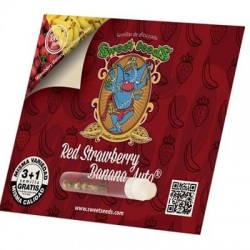 Red Strawberry banana auto Sweet Seeds