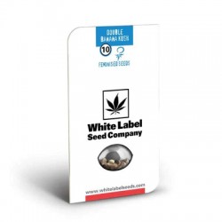 Double Banana Kush White Label