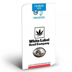 Strawberry Kush White Label Seeds