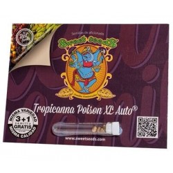 Envase Tropicanna Poison de Sweet Seeds