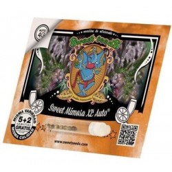 Pack Sweet Mimosa auto Sweet Seeds