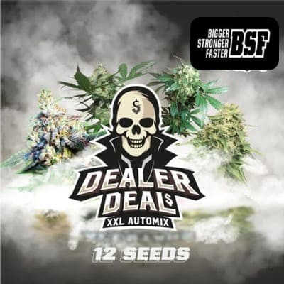 Dealer Deal XXl automix BSF seeds cannabis