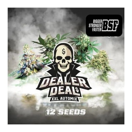 Dealer Deal XXl automix BSF seeds cannabis