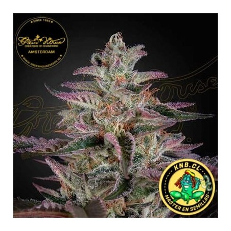 Banana Krumble Green House semillas