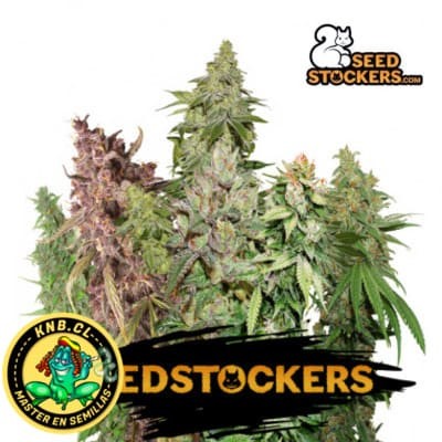 Resin automix Seed Stokers