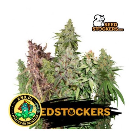 Resin automix Seed Stokers