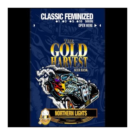 Northern Light de Gold Harvest