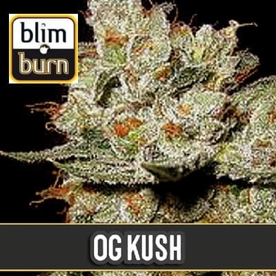 OG Kush de Blimburn Seeds