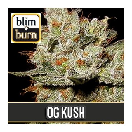 OG Kush de Blimburn Seeds