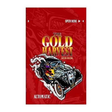 White Widow auto Gold Harvest