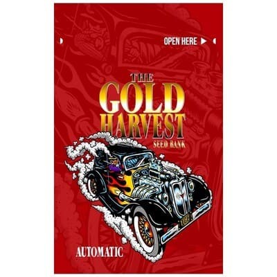 White Widow auto Gold Harvest