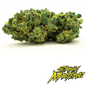 auto Gren Finger Strain Machine semillas marihuana