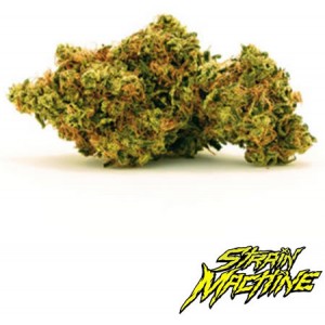 Zkittlez de Strain Machine semillas marihuana