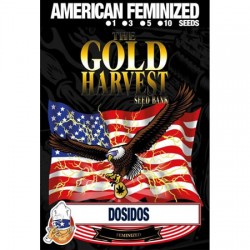Semillas marihuana Dosidos de Gold Harvest
