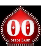 Semillas autoflorecientes 00 Seeds Bank | Knb.cl