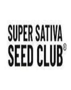 Venta semillas marihuana feminizada Super Sativa Seeds