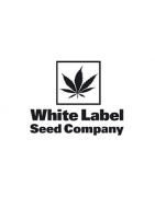 Semillas marihuana autoflorecientes White Label Seeds en Knb.cl