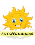 Venta semillas feminizadas fotoperiodicas Dinafem Seeds