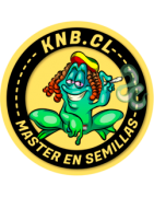 Compra semillas marihuana feminizada online - Grow Shop Knb.cl