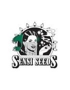 Venta semillas feminizadas de cannabis del banco Sensi Seeds