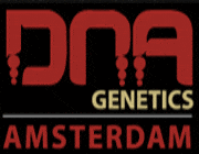 Semillas feminizadas banco DNA Genetics