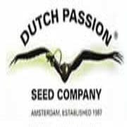 Dutch Passion banco semillas marihuana