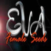 Eva Seeds banco semillas marihuana