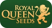 Banco Royal Queen Seeds