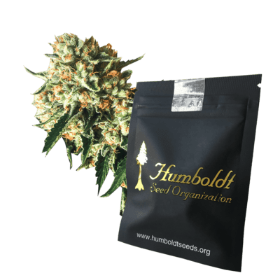 Banco semillas marihuana Humboldt Seeds