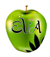Logo Eva Seeds