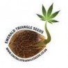 Emerald Triangle Seeds