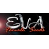 Eva Seeds