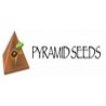 Pyramid Seeds