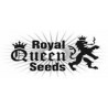 Royal Queen Seeds