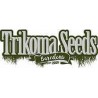 Trikoma Seeds