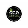 Ace Seeds